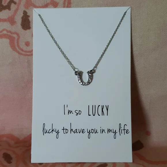 Horseshoe Necklace I'm so lucky to have you in my life Rhinestone Dainty Horsesh - Picture 1 of 9